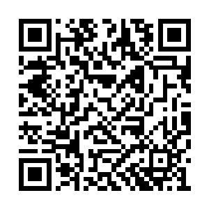 如此巨大的反差令他们一个个都直接愣在了原地二维码生成