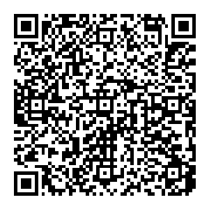 如此恐怖的肉身别说是一个未成年的虎狮兽即便是成年的虎狮兽甚至说虎狮兽的王者杨戬也有信心用自己的拳头将对方制服二维码生成