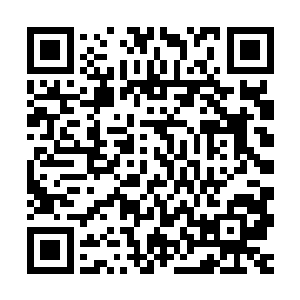 如此才能在将来出万宝天后对付天火塔――天火塔既然敢出卖他二维码生成