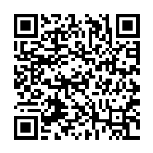 如纸糊那般轻而易举的撕裂了惊雷剑宗的守护阵法二维码生成