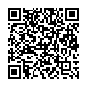 妄图让同长公主毫无关系的阿九继承长公主的衣钵二维码生成