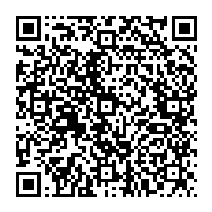 妈你快看那个林烽下车的时候还说是要去接什么了不得的贵客呢结果现在他自己一看到大明星苏紫萱来了二维码生成