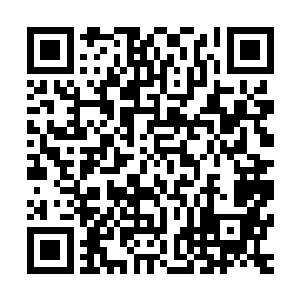 妈蛋这白衣服的妖人到底是什么意思啊手里面拿着七块玉佩了二维码生成