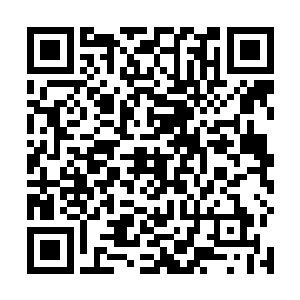 妒忌化身的骸骨巨人向他们展示了什么才是真正的噩梦二维码生成