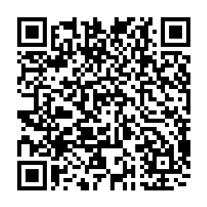 妖狼啸月 这是狼族的神通 原來 这红色网格 最强大的 居然是音波之力 二维码生成