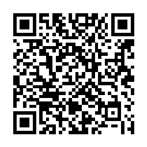 妖狼王陛下只是下令不反抗我们妖狼一族的人类不许吃二维码生成