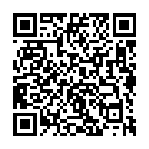 妖狼王陛下和族中祭司已经试过数百种祭祀办法二维码生成