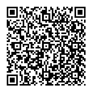 妮娜对跟这两个新伙伴一起旅行这件事还是满心忧虑的――一个营养不良得跟非洲难民一样的孩子二维码生成