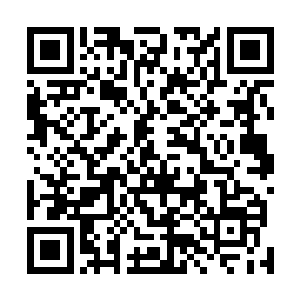 妮娜拍着赤尸医生随手放在桌上的中华料理店的外卖单子二维码生成