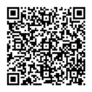 妮娜摆出了一幅中老年人旅游回来的懒散模样――虽然在猫身上要看出这样子有点困难二维码生成