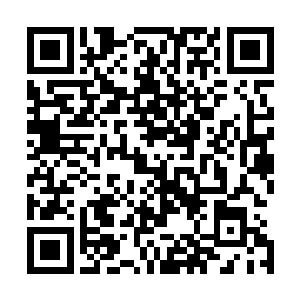 妮娜轻轻叹了口气放下了原本指向白兰的花容月貌的断魂爪二维码生成