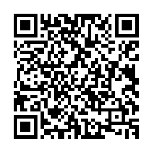 始母虫让离天宇宙的下属转交给他一些宇宙之心碎片供他恢复二维码生成