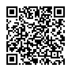 始终不敢开口询问抚琴等几人是否在那帐子里等待着自己二维码生成