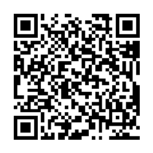 姐弟仨一边讨论一边目光游移的看桌上剩下的很多饭菜二维码生成