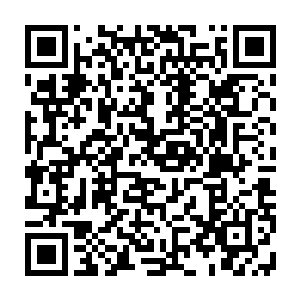 姜泥已经将这一方被西楚皇叔姜太牙评为天下古砚榜眼的古砚丢进洗象池二维码生成