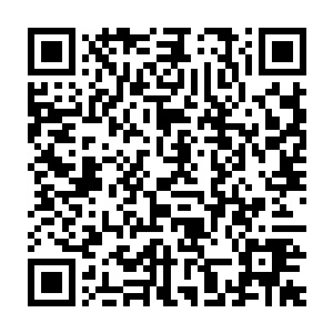 姬月蓝和姜若馨两个人已经变成了两个面目普通犹如行商的年轻男子二维码生成