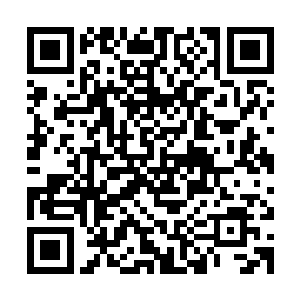 威尔也是好莱坞里唯一一个在票房持久力和爆发力上能够和汤姆二维码生成