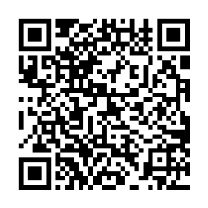 娘娘……臣妾……臣妾真的不是来羞辱您……血燕的事情二维码生成