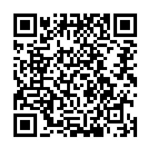 娜塔莎是放下心来纠结自己真的挺喜欢这种商业化的生活二维码生成