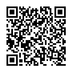 婉儿和秀儿还有凌无邪看着在桌面上兀自在滚动的神丹二维码生成