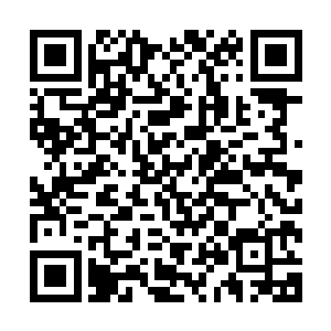 媒体怎么会忽然恰到好处地在这个时间注意到珍妮的部均数据二维码生成