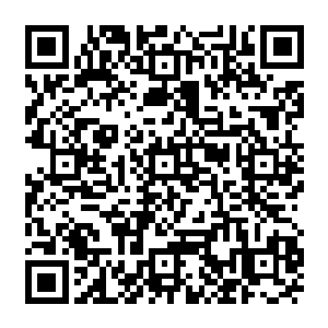 孙剑这样自命不凡的年轻人也是感觉到了一种深深的无力感……这种天赋上的强势二维码生成