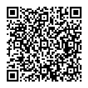 孙女怕是不能陪长姐去沈家了……前几日孙女感染了风寒……怕是会过了病气给郡主二维码生成