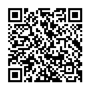 孙子轩也终于明白这个病人的内脏为什么会出现移位的情况了二维码生成