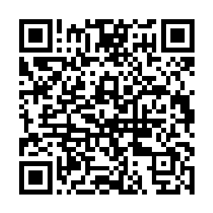 孙子轩和红莲认识满打满算也就是小半年的时间而已二维码生成