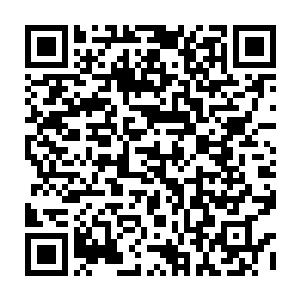 孙子轩现在总算是知道为什么特训委员会的长老们会做这种明显亏本买卖了二维码生成
