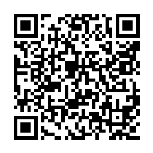 孙家家主在世的时候房里也没有小妾通房之类的二维码生成