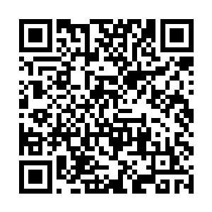 孙玉成这是受了张海鹏的教唆和指示专门为难自己的二维码生成