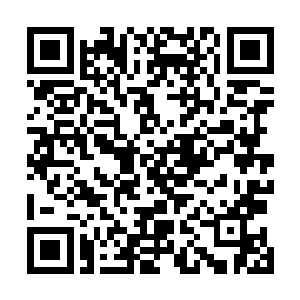 孟奇一次次以伤换伤积累的伤势以肉眼可见的速度愈合着二维码生成