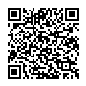 季姨娘如今不过是替母亲打理了几日东院的庶务二维码生成