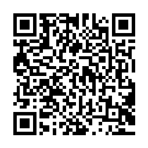 季疏云见独孤敏的眼底的光芒从最开始的惊讶到欣喜再到黯淡二维码生成