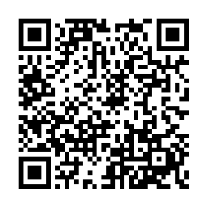 孤法一致认为自己已经将一切全都掌握在手中了二维码生成