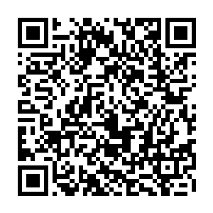 学不得天师府真正的本领……你又是号称中华玄学界几百年难得一遇的天才人物二维码生成