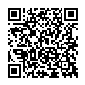 学生50%的学习和修炼都可以通过大荒战网来完成二维码生成