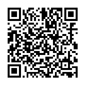 学过茶道的人和蛋圆圆的胡乱泡的效果是截然不同的二维码生成