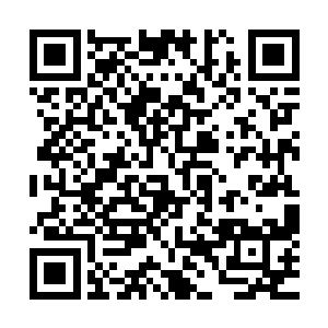 学院分配给料理系的办公室和其他系的教职人员办公室一样大二维码生成