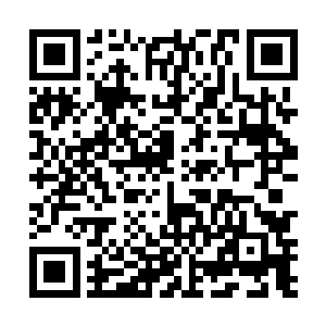 宁宗所在家族离一支广陵境内精锐行伍的军寨驻地不远二维码生成