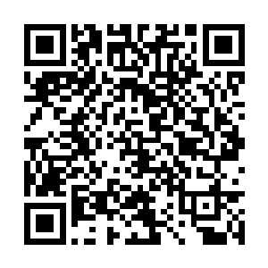 宁河郡的大丰收又进一步稳定和缓解的燕州的粮荒二维码生成