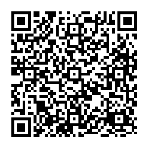 它不怕牺牲不怕重头再来……我觉得我就是家乡田野里的那一株株碧绿的青草的化身二维码生成