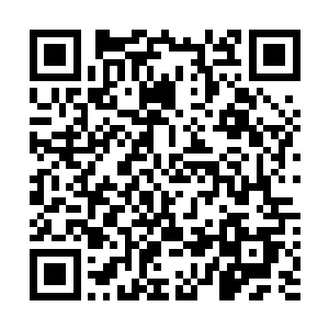 它们山鬼的实力也会因为启动大阵而跟着暴涨到超品道体二维码生成