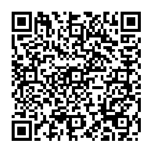 它们的感应能力会因为星辰潮汐而得到明显的增强能够感应到哪里聚集的生命更多二维码生成