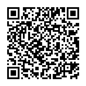 它会吸收后天高手的精血只是为了给自己一个信号――它需要精血二维码生成