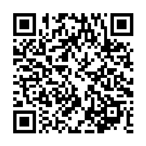 它只是像石板一样老老实实地把它的记忆展现给我看而已二维码生成