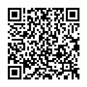 它和自己所修炼的灵气是截然不同的另一种力量二维码生成