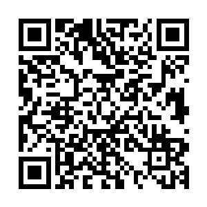 它就是无意中获得了帝心种莲心经后才得以一路晋升到现在的二维码生成