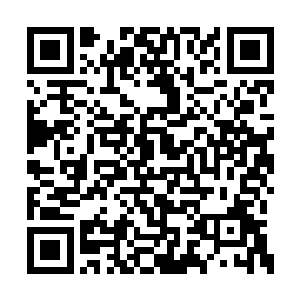 它感觉到天地间正有一股无比可怕的攻击在形成二维码生成